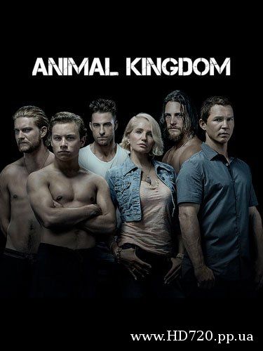 Царство животных - По волчьим законам